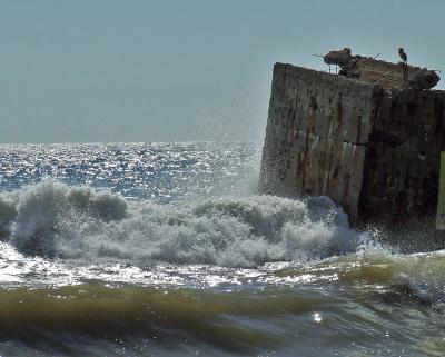 Прикрепленное изображение: DSCF7815.jpg